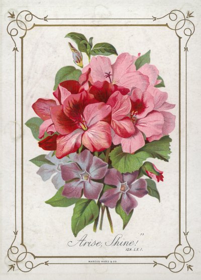 Posy of Flowers by English School
